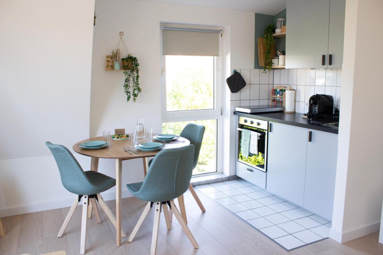 Nova - See Apt 22 I Phantasialand I Cologne I Bonn Erftstadt Luaran gambar